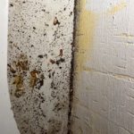 IMG_7955